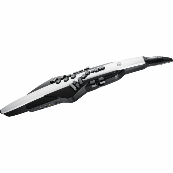 Roland Aerophone AE-20